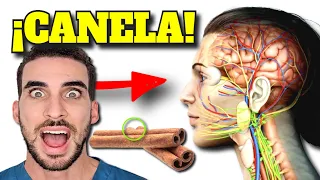 What happens if CINNAMON comes every day?| Benefits of CINNAMON A superfood?