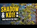 Shadow KD1 Together in the Pines A Special Big Bear Eagle Moment