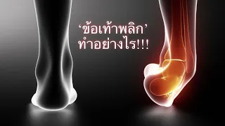  อาการข้อเท้าพลิกเกิดจากสาเหตุอะไรบ้าง 