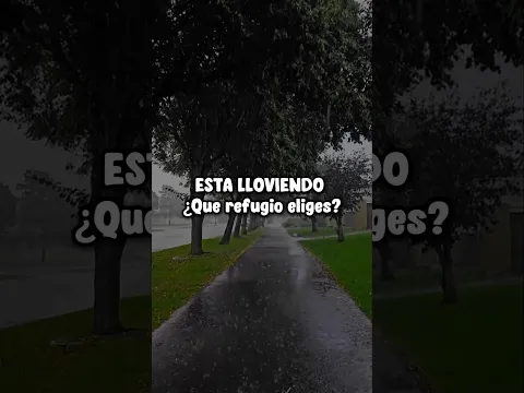Imagina que el dia esta lluvioso y debes elegir tu refugio ¿Cual escogerías?🌩😱