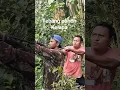 Download Lagu Tebang pohon kelapa kena petir#tebang_pohon#shorts#stihl#070#banjarnegara#jawatengah#fypシ