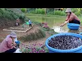 Download Lagu Membangun Kehidupan di Alam Bersama | Merawat Kebun Baru dan Memelihara Ribuan Ikan