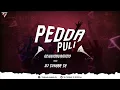 Download Lagu Pedda Puli Nekkinavammo | EDM Remix | Dj Tushar Tk Kop #edmsong #kannada #djsong
