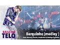 Download Lagu Michel Teló - Barquinho/Brasileira (DVD Baile Do Teló)