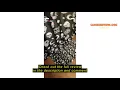 Review ZGDPBYF 4-Piece Bathroom Set Stars Black Witch Skull Moon Divination Gothic Shower Curtain Ru