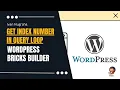 Get index number in Bricks Builder Query Loop