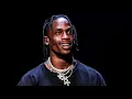 Travis Scott - BUTTERFLY EFFECT (@432hz)