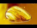 Amber Crystal - 528 Hz | Frequency Vibrations For Crystals | healing sounds for positive energy