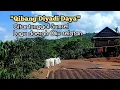 Download Lagu lagu adi adi Oku selatan || gitar tunggal sumsel_qibang diyadi daya