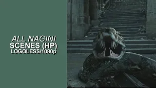 All Nagini Scenes 1080p Logoless Harry Potter