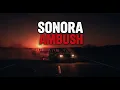The Deadly Ambush in Sonora Inside Mexico s Cartel Civil War Full True Crime Documentary