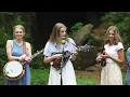 Blowin' in the Wind - The Petersens (LIVE)
