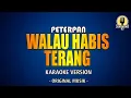 Download Lagu Walau Habis Terang - Peterpan (Karaoke Version)