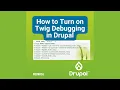 How to Turn on Twig Debugging in Drupal
