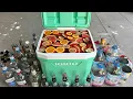 15 Gallon Jungle Juice