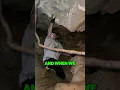 I Caught The Worlds BIGGEST Spider