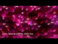 Download Lagu AC Seven - Seasons - Spring 2005 Mix 1 - Chill-Out Trance