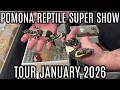 The BEST Animals At The Reptile Super Show Pomona 2026