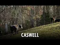 Journey Across the 100 Caswell County