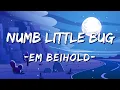 Download Lagu [1 HOUR LOOP] Em Beihold - Numb Little Bug (Lyrics)