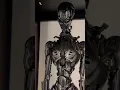 Download Lagu T-X Endoskeleton from Terminator 3: Prop Used in the Movie #Terminator3 #TXEndoskeleton