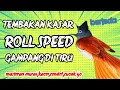 MASTERAN TEMBAKAN KASAR ROOL SPEED BERJEDA