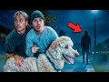 We Walked Our Dog at 3AM He Followed Us Home