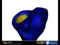 SOFA - Reaction diffusion simulation in 3D
