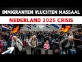 Download Lagu Waarom immigranten Nederland in recordaantallen verlaten in 2025