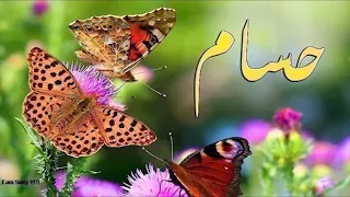احلا اغنيه باسم حسام           وشكرا دندنها
