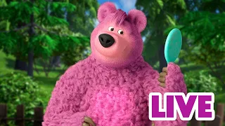 ماشا والدب LIVE STREAM من هو هذا الدب الأنيق 