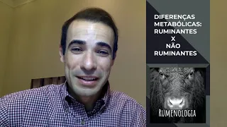 001 - O rúmen e os ruminantes