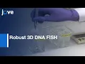Robust 3D DNA FISH Using Directly Labeled Probes l Protocol