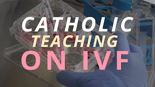 Catholic teaching on IVF