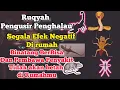Download Lagu Ruqyah Usir Binatang Berbisa Pembawa Wabah Sihir Cicak Tikus Kecoa Nyamuk Ular Scorpio Tidak Betah