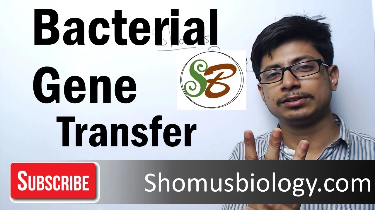 Horizontal gene transfer | Transformation, Transduction and Conjugation
