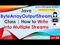 L88 Java ByteArrayOutputStream Class How to Write into Multiple Streams Java Lectures in Hindi