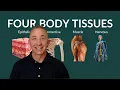 Anatomy Basics Four Tissue Types