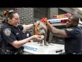 Police Commissioner O Neill Visits Animal Cruelty Victims Rescued Through Partnership