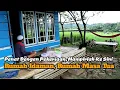 Download Lagu VIRAL..Mengapa Rumah Tengah Sawah Ini, Sering Di Kunjungi Orang Kota,Hanya Untuk Tidur..