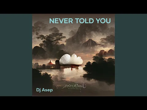 Download MP3 Never Told You