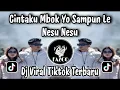 Download Lagu CINTAKU MBOK YO SAMPUN LE NESU NESU / DUH SAYANG NGAPUNTENE SAESTU / SADEWOK - SABAR VIRAL TIKTOK 