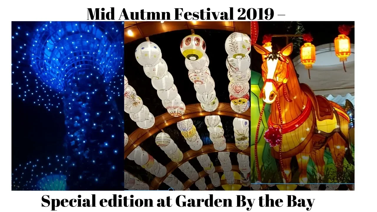 Mid Autmn Festival 2019  Special edition at Garden By the Bay