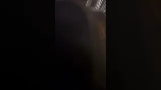 امرني وسم مطلق الملعبي وعزيز ضبعان  امرني وسم مطلق الملعبي وعزيز ضبعان