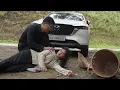 Download Lagu CEO James's Silent War to Save a Deaf-Mute Single Mother - CA Shocked by NGHIEP's Betrayal
