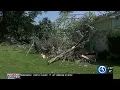 Milford family displaced after storm drops trees on home garage and cars