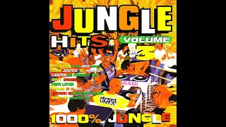 Various - Jungle Hits Vol. 3 (1995)