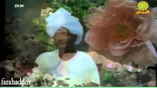 مبارك المغربي 