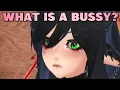 What s a Bussy