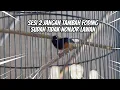 Download Lagu MAIN LEBIH TENANG CUKUP MAIN BASAH TANGKRINGAN LAGI !! INGAT EMOSI TURUN BIRAHINYA NAIK